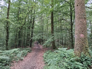 GR 12 entre Moulin Manteau et Hiraumont