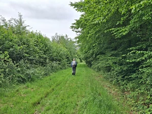 GR 12 entre Hiraumont et Bourg-Fidèle