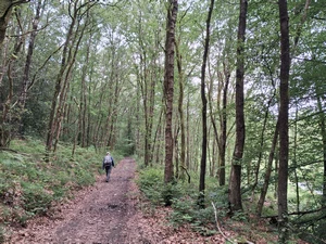 GR 12 entre Hiraumont et Bourg-Fidèle