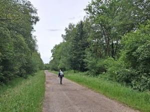 GR 12 entre Hiraumont et Bourg-Fidèle