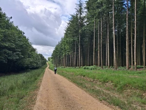 GR 12 entre Bourg-Fidèle et Rimogne