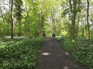 Liège, parc Naimette Xhovémont