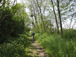 GR 121 entre Souxhon et les Awirs