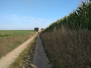 GR 121 entre Roux-Miroir et Piétrebais