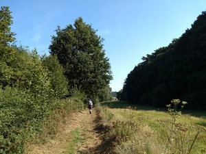 GR 121 entre Roux-Miroir et Piétrebais