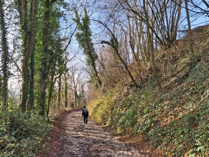 GR 121 entre Orp-le-Petit et Nodrenge