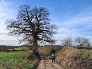 GR 121 entre Orp-le-Petit et Nodrenge