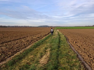 GR 121 entre Orp-le-Petit et Nodrenge