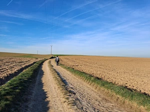 GR 121 entre Huppaye et Jodoigne