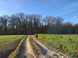 GR 121 entre Huppaye et Jodoigne