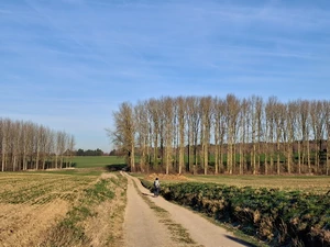 GR 121 entre Huppaye et Jodoigne