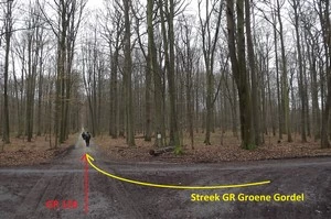 GR 126 dans la forêt de Soignes, croisement du Streek-GR Groene Gordel