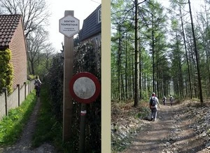 GR 126 entre Bousval et Villers-la-Ville, Bois d'Hé
