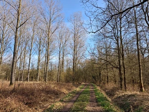 GR 128 entre Wespelaar et Wakkerzeel