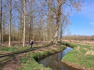 GR 128 entre Wespelaar et Wakkerzeel, Lipsebeek