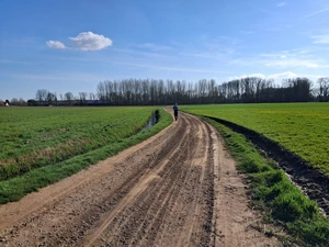 GR 128 entre Wakkerzeel et Rotselaar, Kapoenstraat