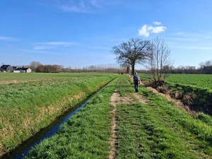 GR 128 entre Wakkerzeel et Rotselaar, De Vesten