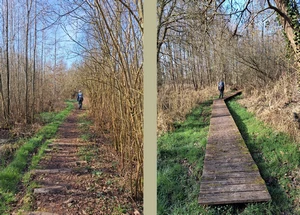 Réserve naturelle De Gevel