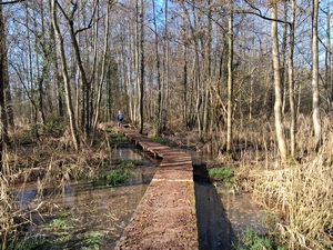 Réserve naturelle De Gevel