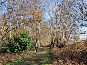 Wilsele-Putkapel, Hamelbroek