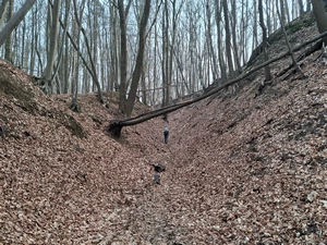 GR 128 entre Wilsele-Putkapel et Kessel-Lo, Kaeystraat