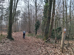 GR 128 entre Wilsele-Putkapel et Kessel-Lo, Honkelberg