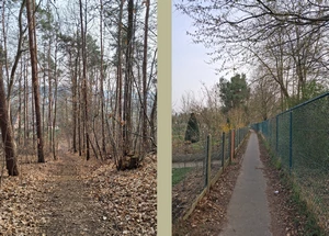 GR 128 entre Wilsele-Putkapel et Kessel-Lo