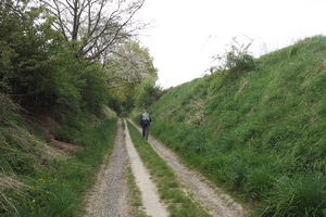 GR 128 entre Hoepertingen et Helshoven