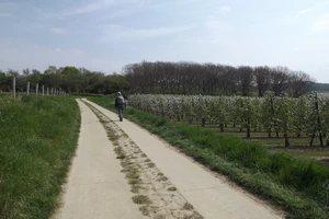 GR 128 entre Voort et le Bollenberg