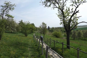GR 128 entre le Bollenberg et Groot-Loon