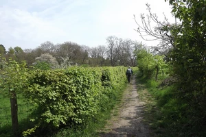 GR 128 entre Groot-Loon et Haren