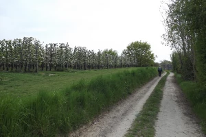 GR 128 entre Groot-Loon et Haren