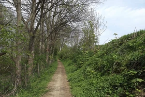 GR 128 entre Groot-Loon et Haren
