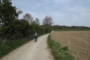 GR 128 entre Haren et Piringen