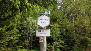 GR 14 entre Réharmont et Arbrefontaine, Hêtre du Berger