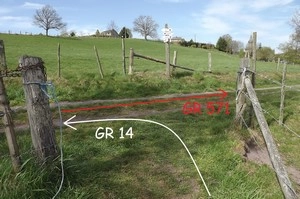 GR 14 entre Lierneux et Baneux, jonction avec le GRP 571