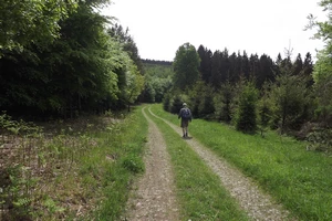 GR 14 entre La Roche-en-Ardenne et Journal
