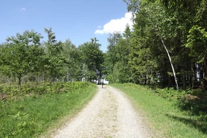 GR 15 entre Trou de Bosson et Harzé