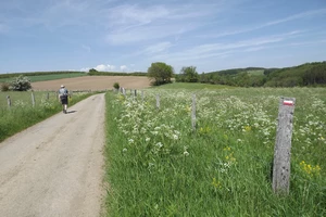 GR 15 entre Honville et Villers-la-Bonne-Eau
