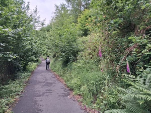 GR 16 entre Les Hautes-Rivières et Naux, la Trans-Semoysienne