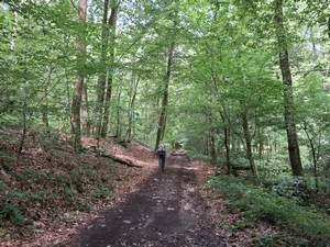 GR 16 entre Naux et Tournavaux
