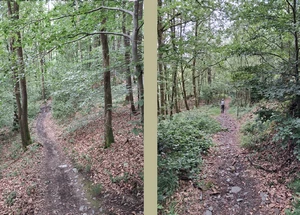 GR 16 entre Roc la Tour et la Roche à Sept Heures