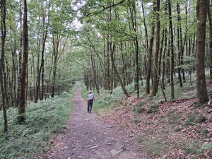 GR 16 entre la Roche à Sept Heures et Monthermé