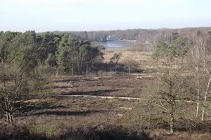 GR 5 : point de vue sur les étangs et le château Terlamen