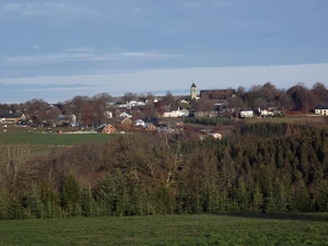 GR 56 entre Krinkelt et Manderfeld