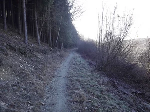 GR 56 entre Krinkelt et Manderfeld, Holzwarche