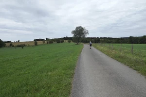 GR 56 entre Schönberg et Alfersteg