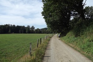 GR 56 entre Steinebrück et Auel