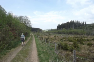 GR 56 entre Buchholz et Honsfeld
