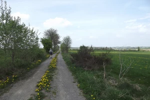 GR 56 entre Buchholz et Honsfeld